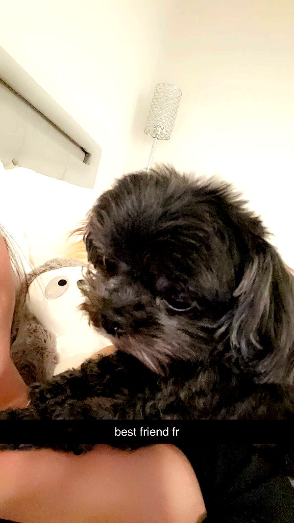 jaynagirl image ~ Altpins