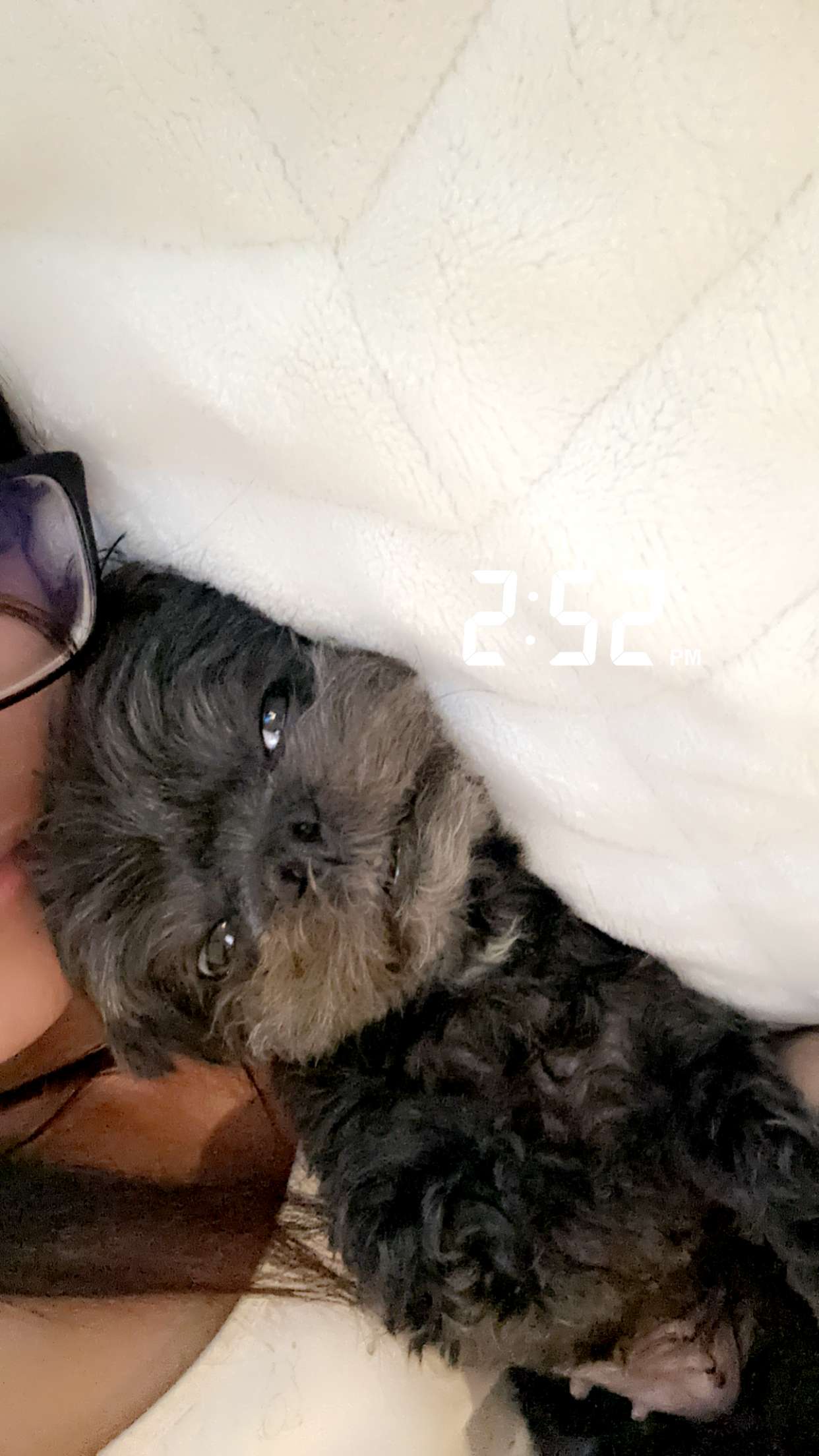 jaynagirl snapchat image archive image