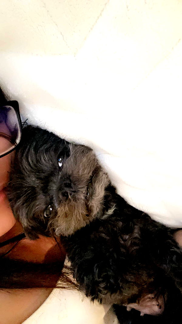 jaynagirl image ~ Altpins