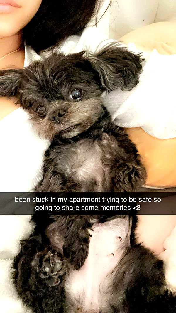 jaynagirl image ~ Altpins