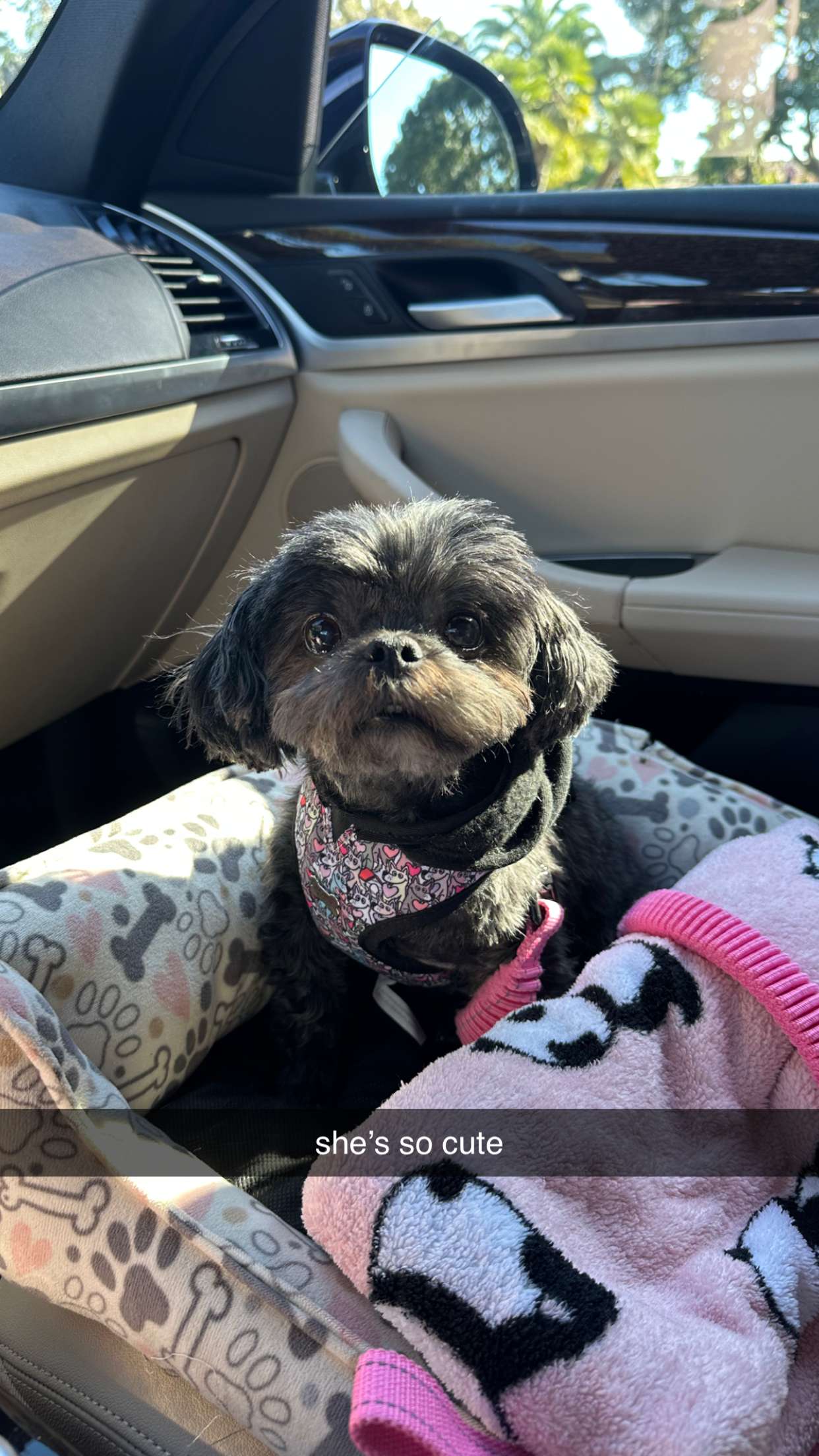 jaynagirl snapchat image archive image