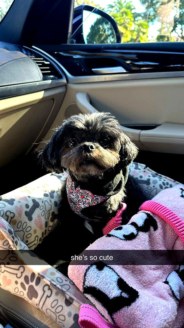 jaynagirl image ~ Altpins