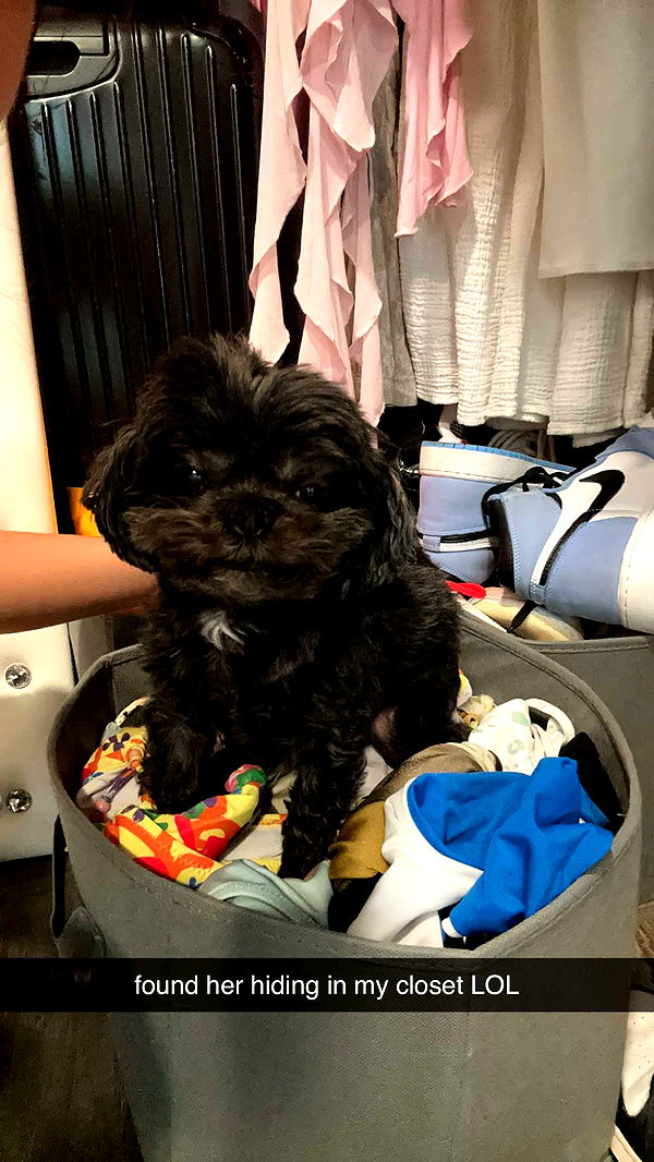 jaynagirl image ~ Altpins