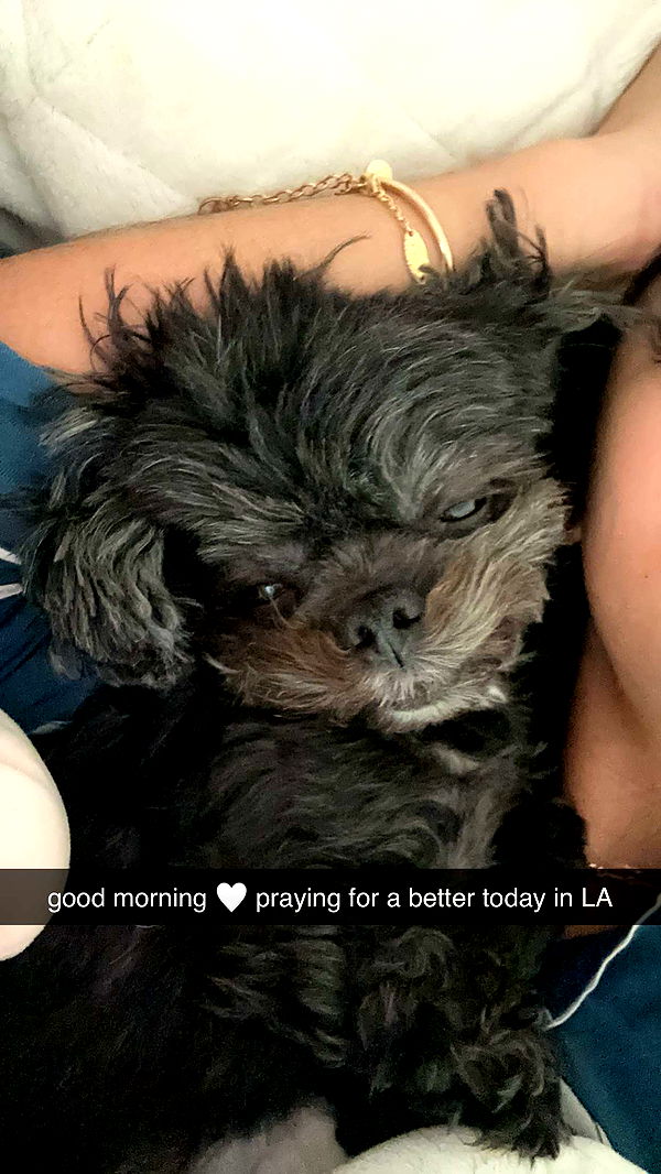 jaynagirl image ~ Altpins