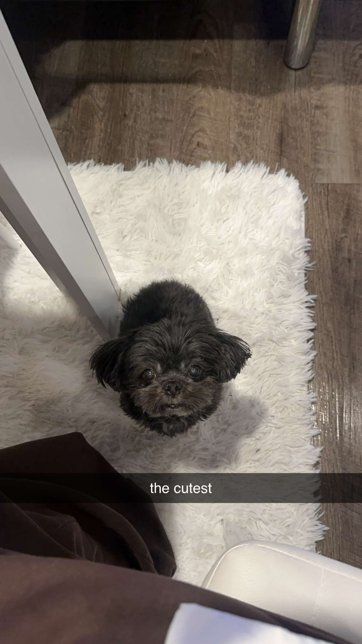 jaynagirl snapchat image archive image