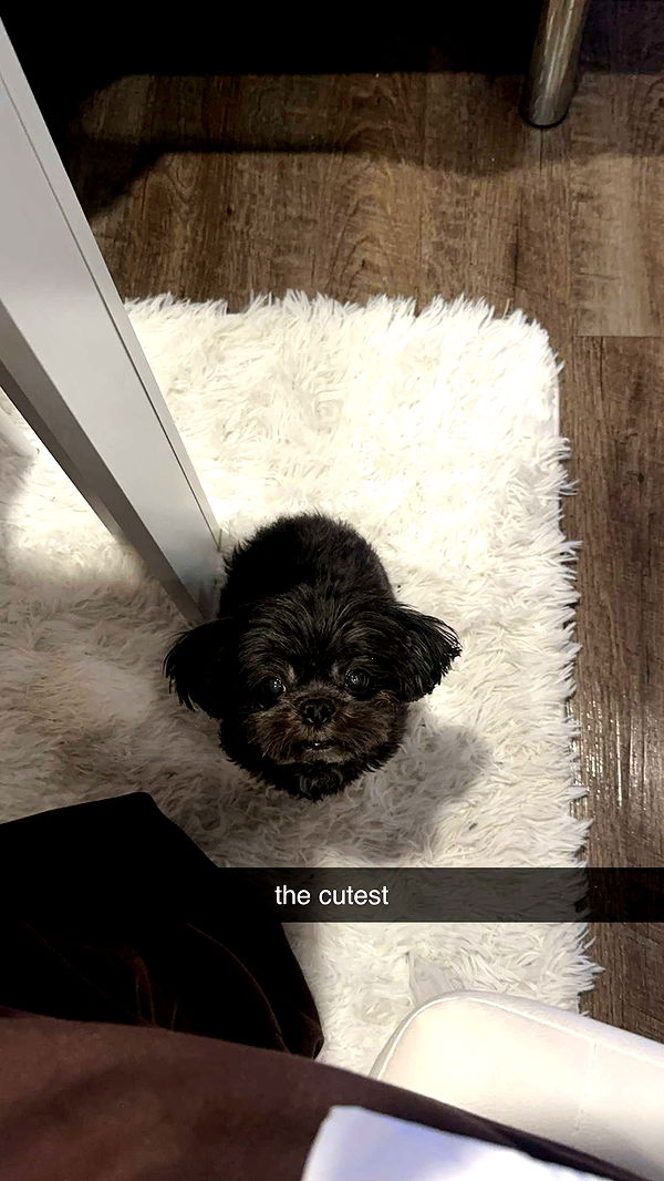 jaynagirl image ~ Altpins