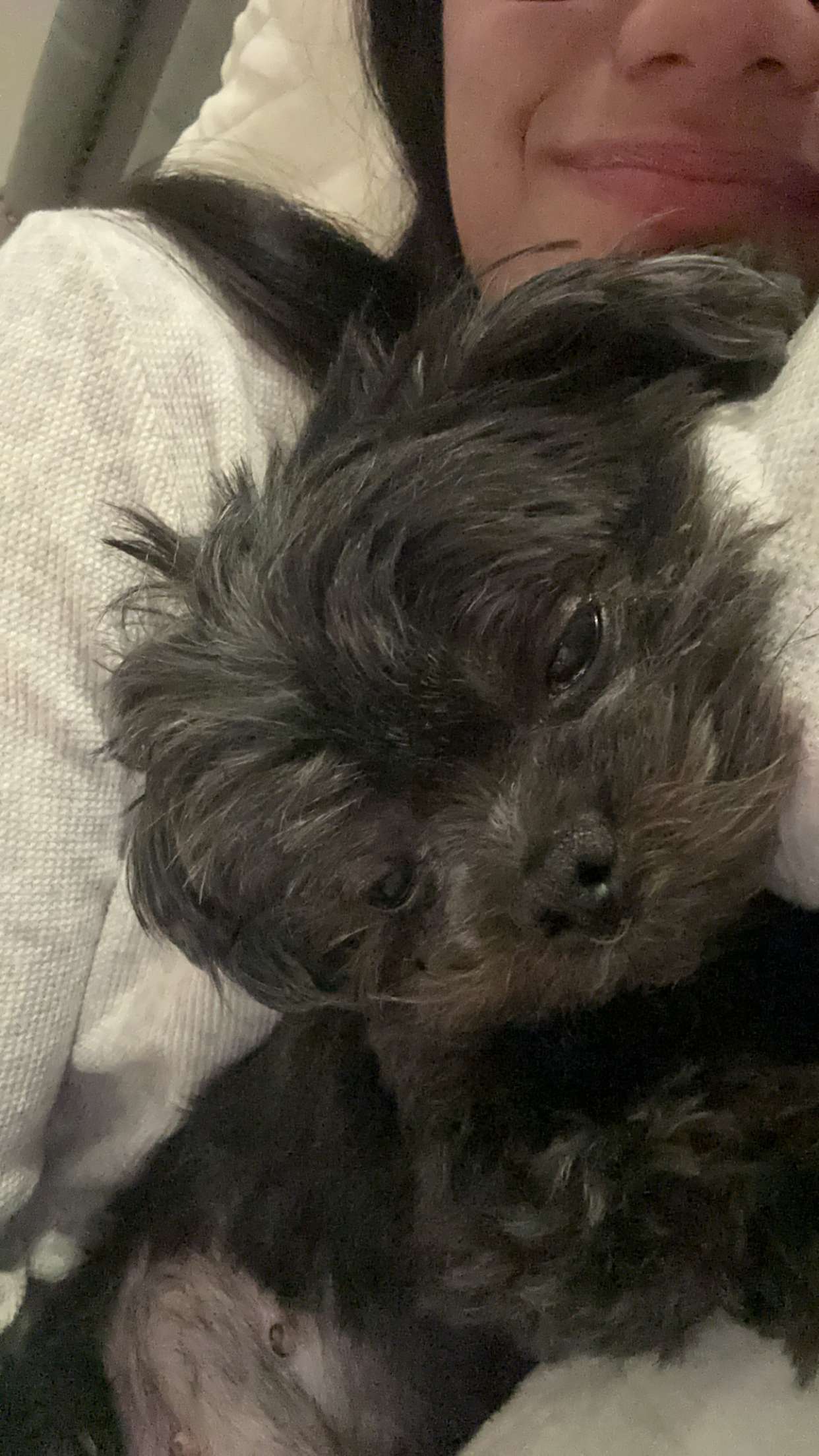 jaynagirl snapchat image archive image