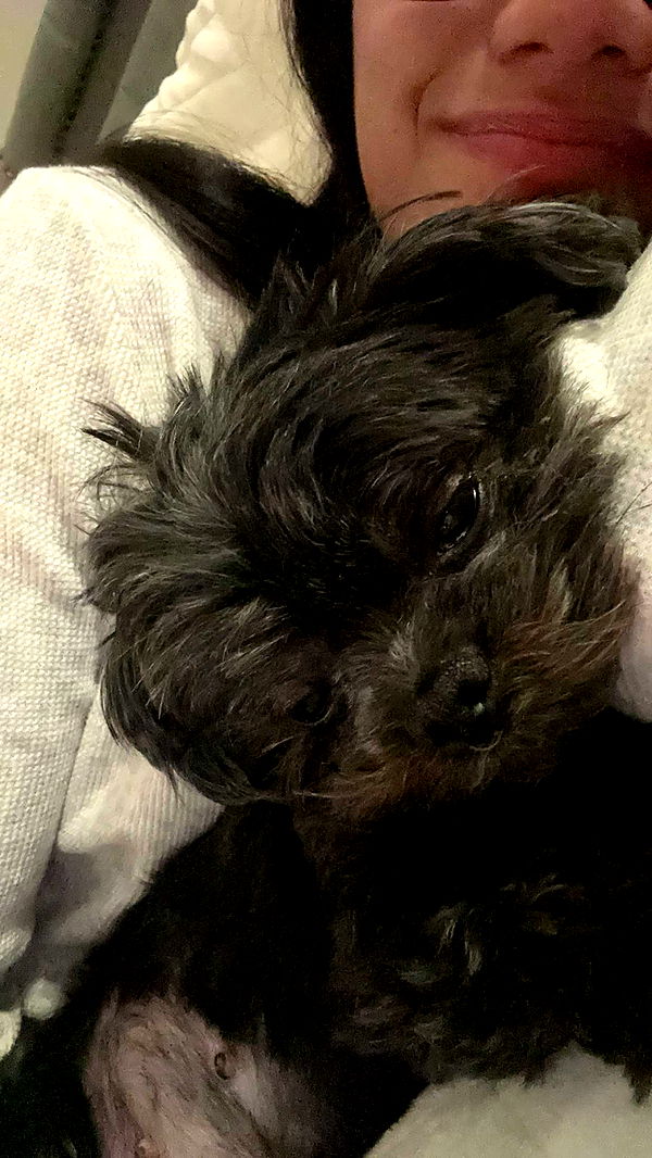 jaynagirl image ~ Altpins