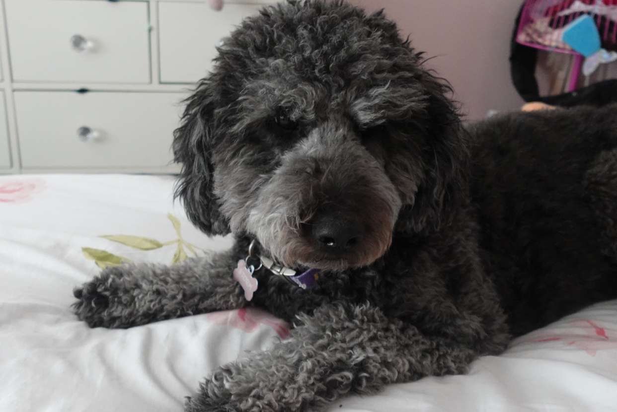 jaynagirl snapchat image archive image