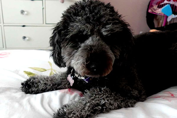 jaynagirl image ~ Altpins