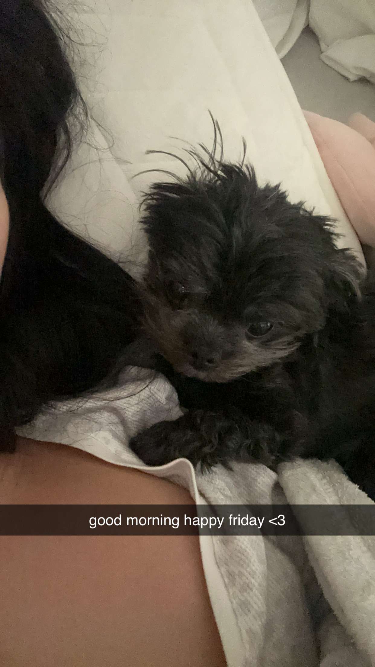 jaynagirl snapchat image archive image