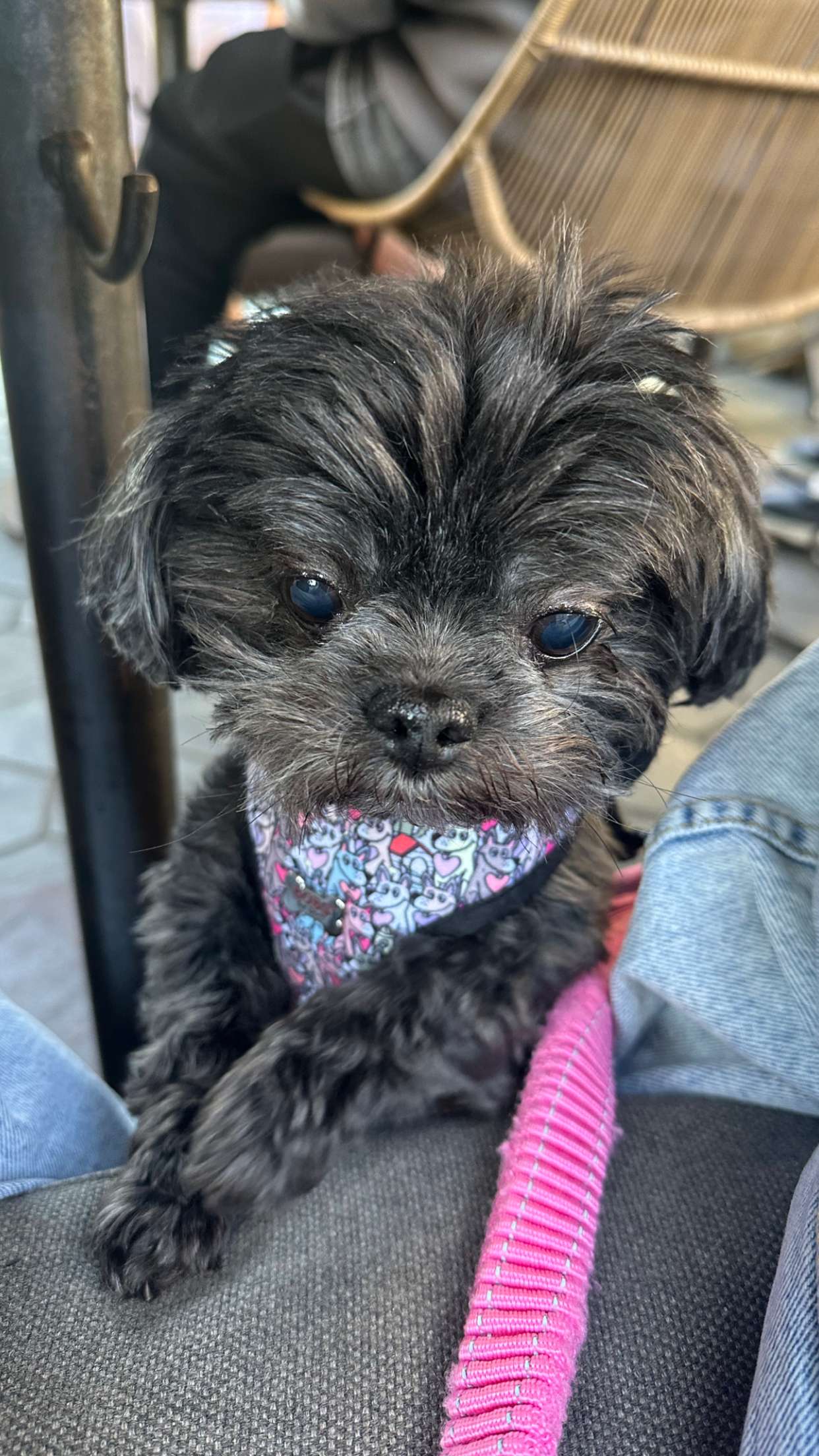 jaynagirl snapchat image archive image