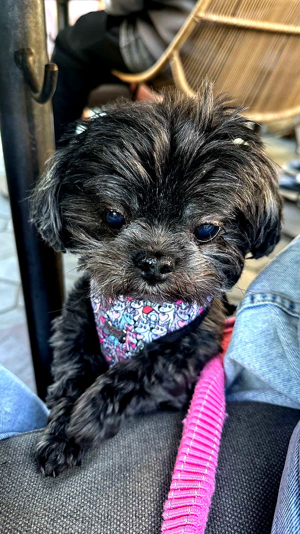 jaynagirl image ~ Altpins