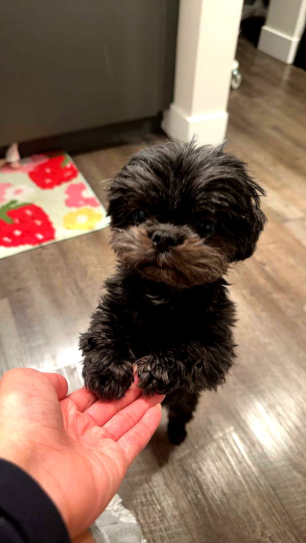 jaynagirl image ~ Altpins