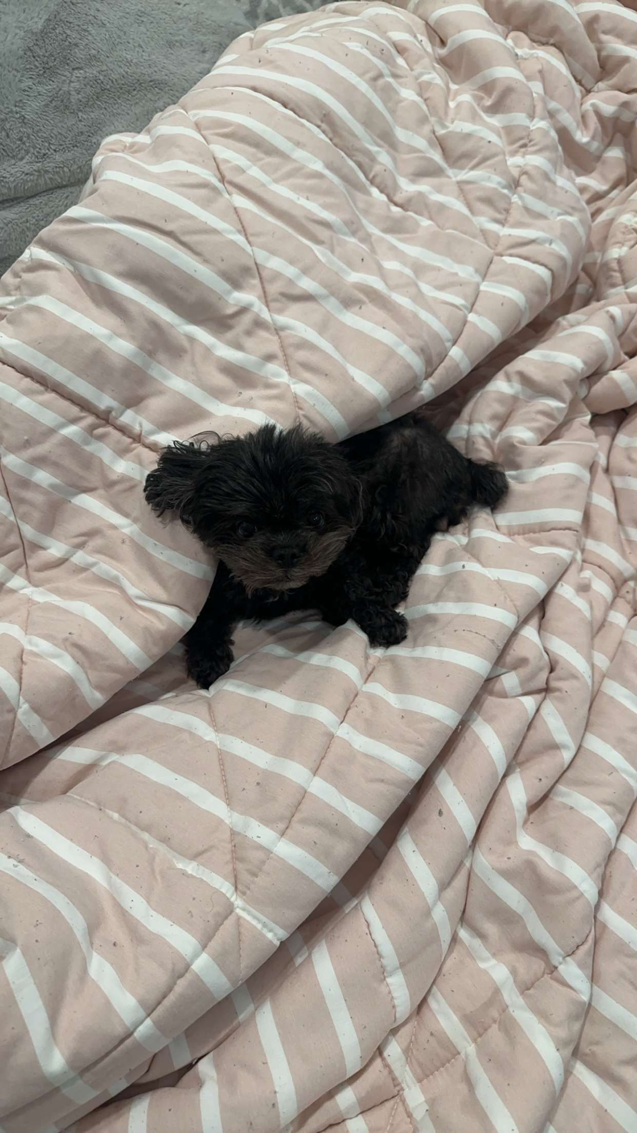 jaynagirl snapchat image archive image