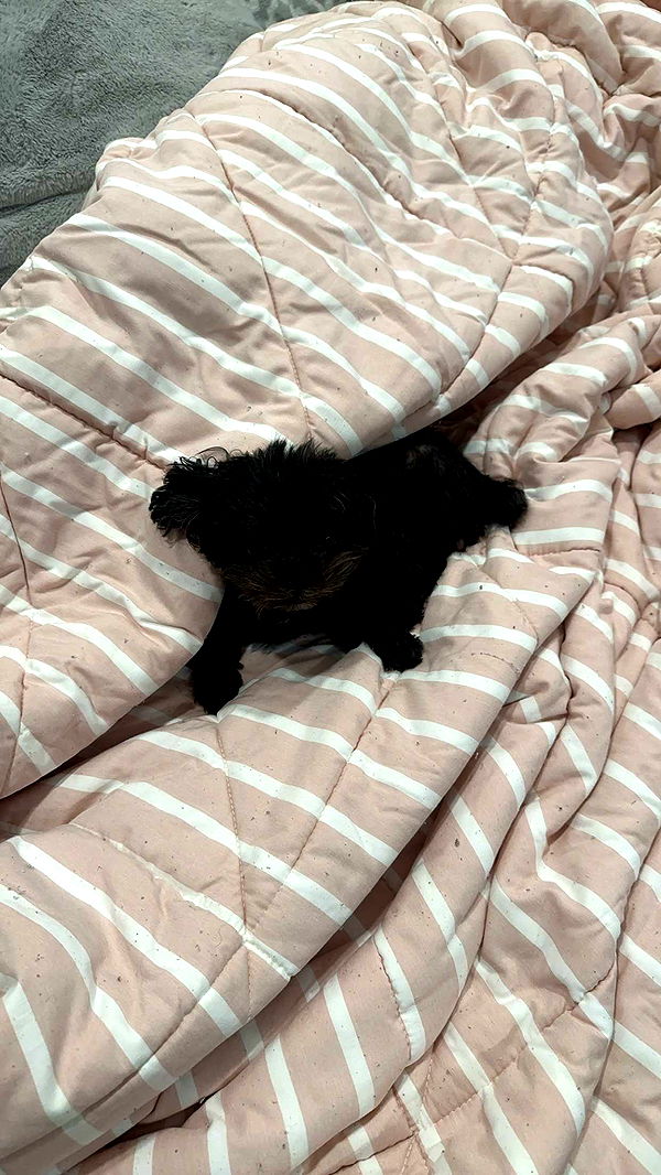 jaynagirl image ~ Altpins