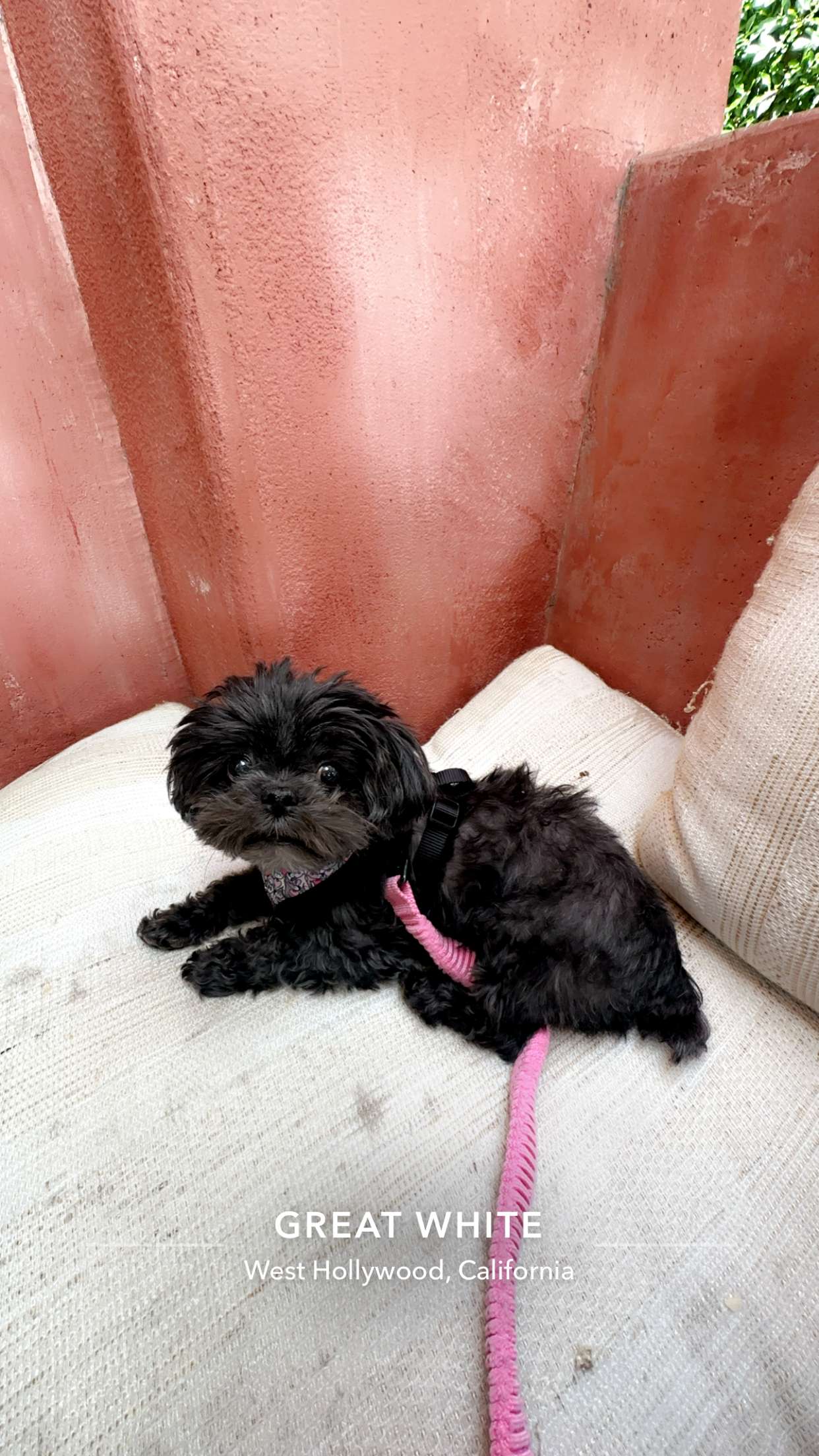 jaynagirl snapchat image archive image