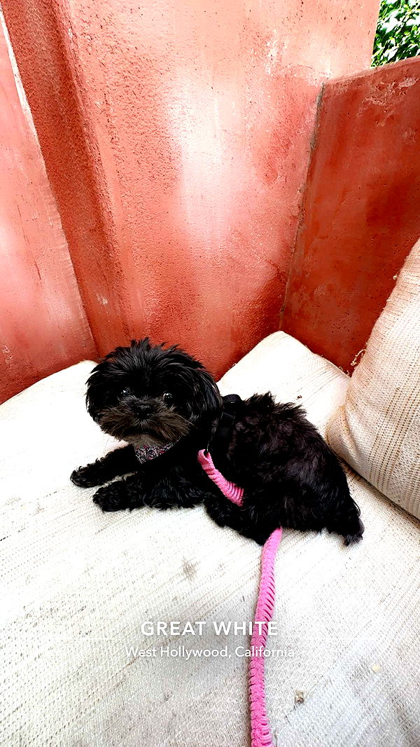 jaynagirl image ~ Altpins