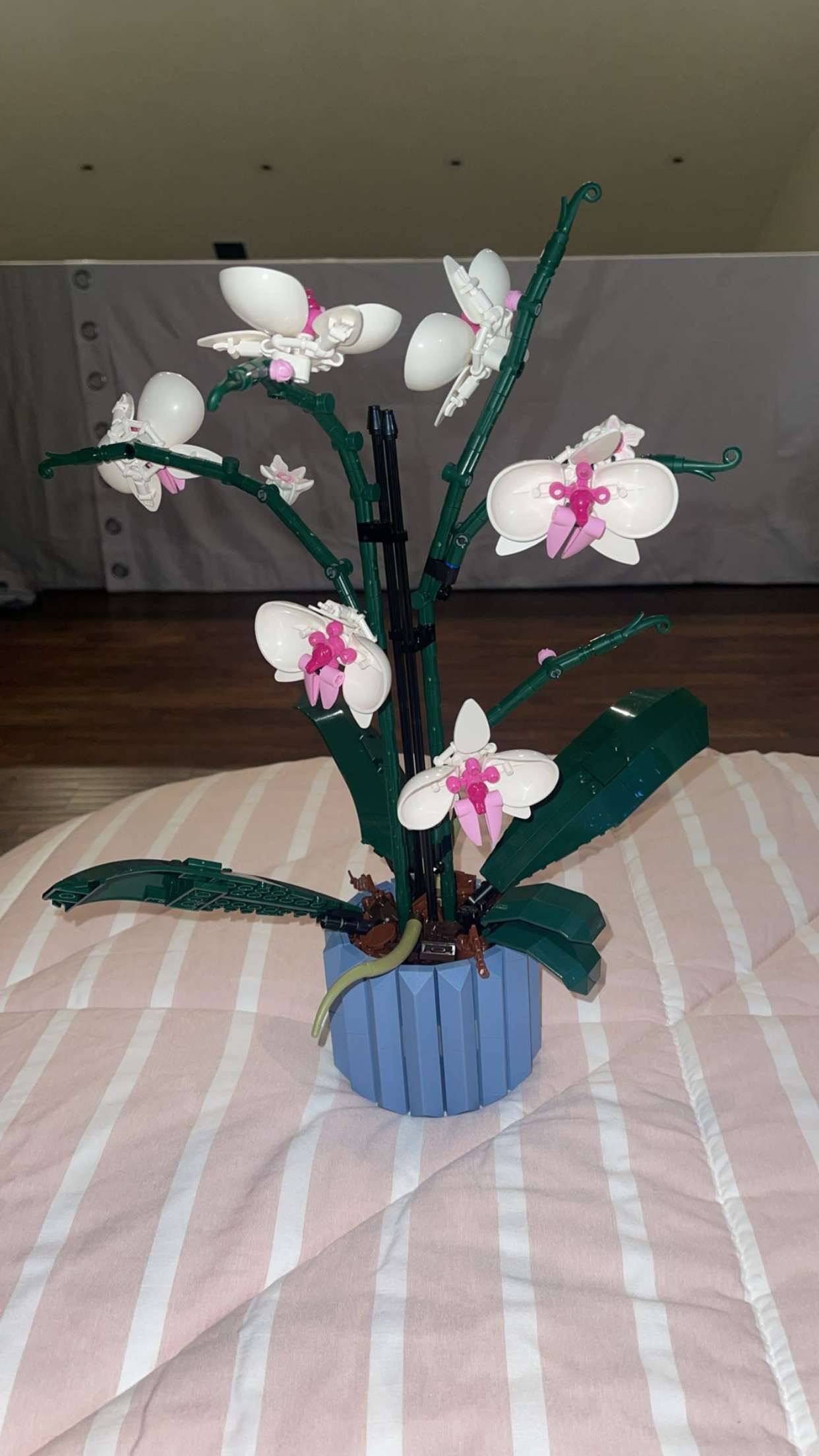 jaynagirl snapchat image archive image