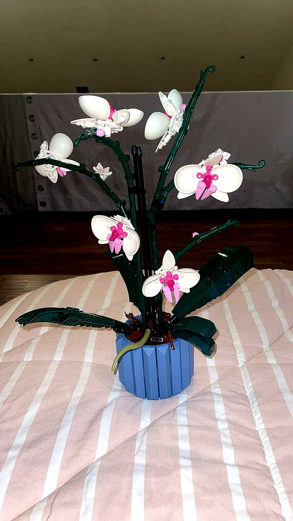 jaynagirl image ~ Altpins