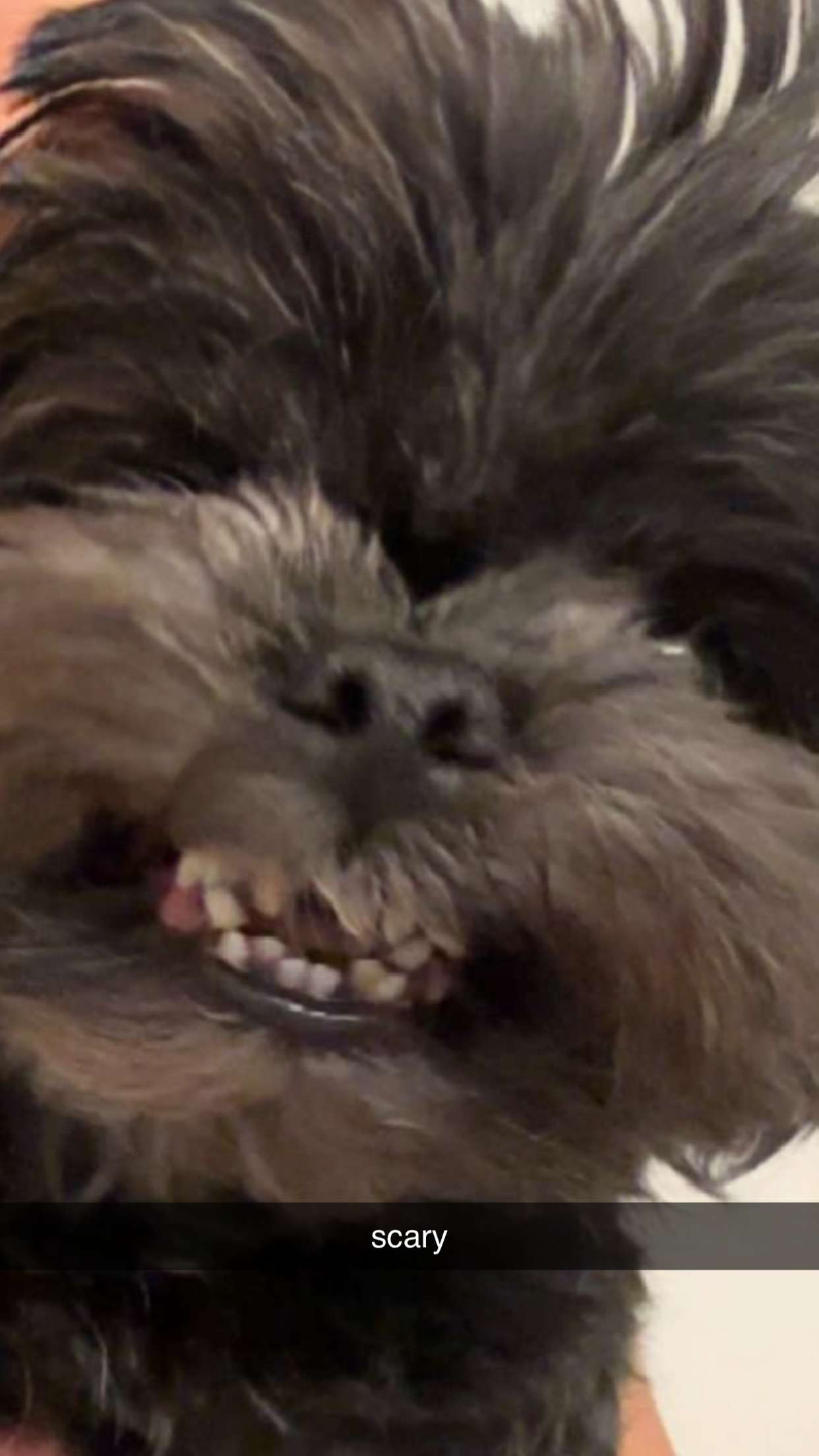 jaynagirl snapchat image archive image