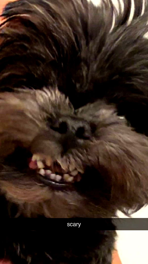 jaynagirl image ~ Altpins