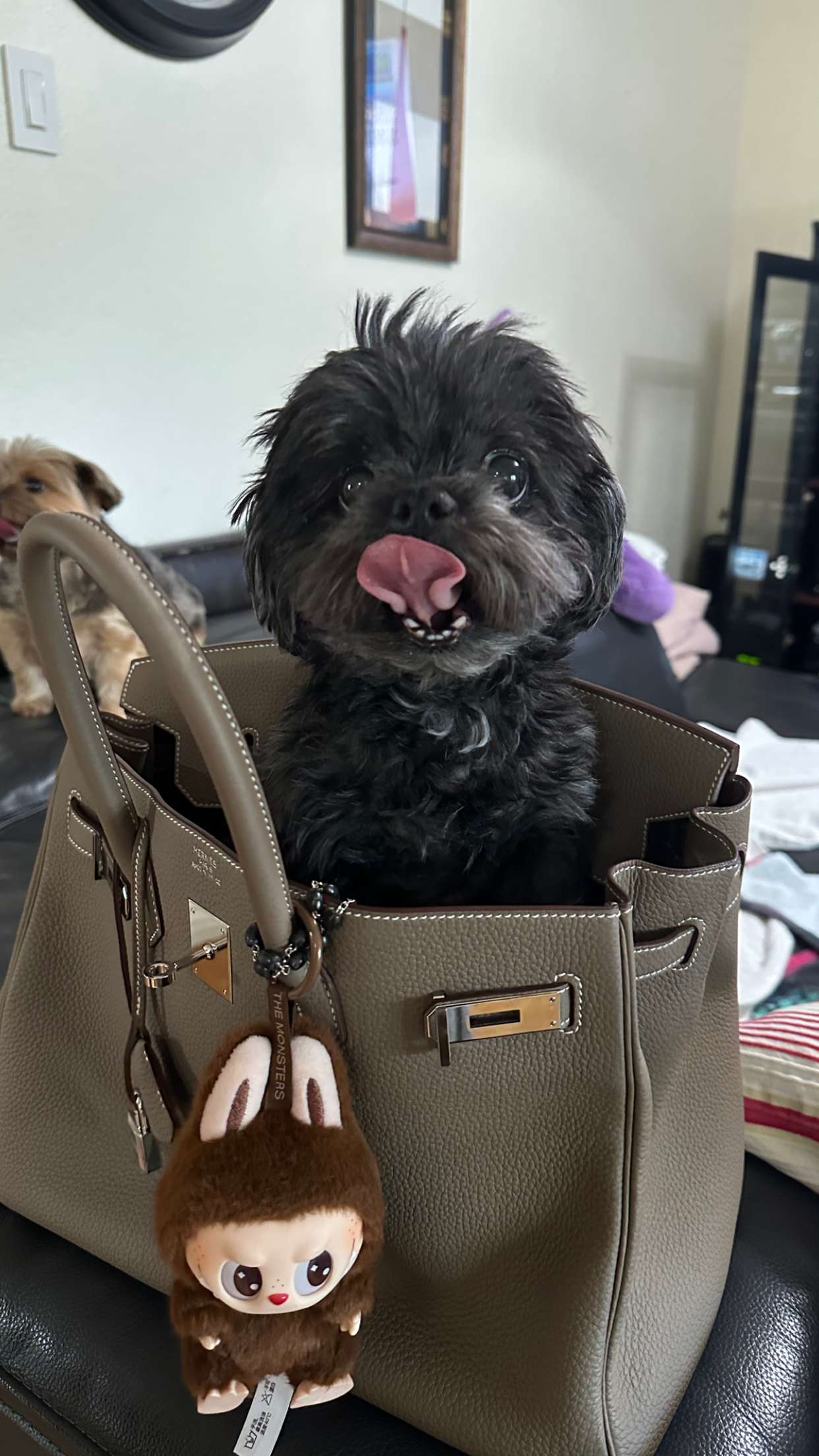 jaynagirl snapchat image archive image