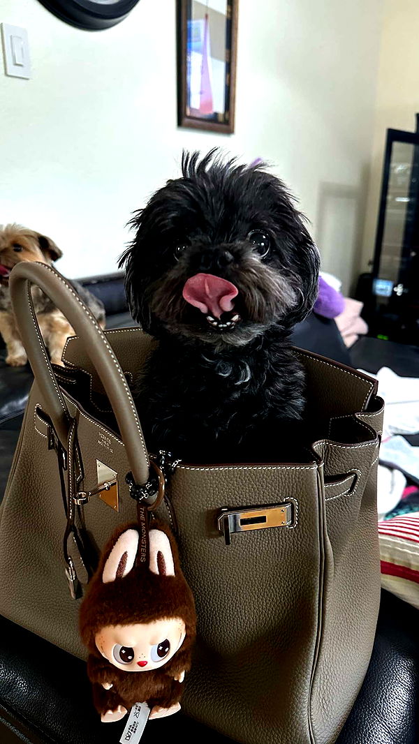 jaynagirl image ~ Altpins