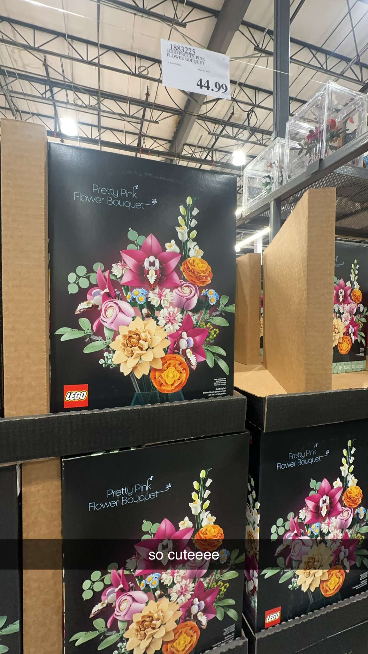 jaynagirl snapchat image archive image