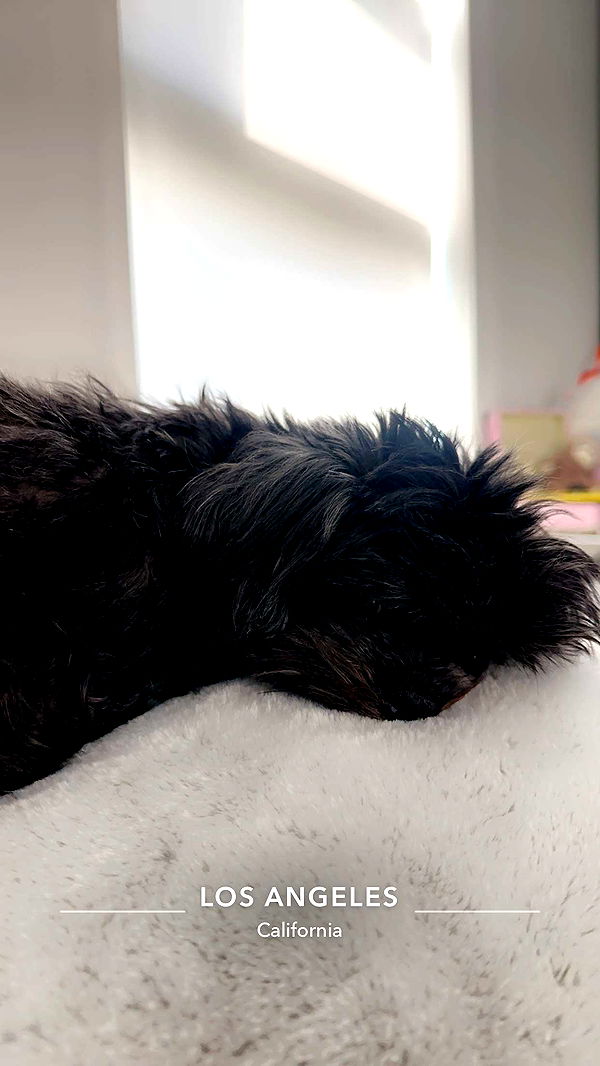 jaynagirl image ~ Altpins