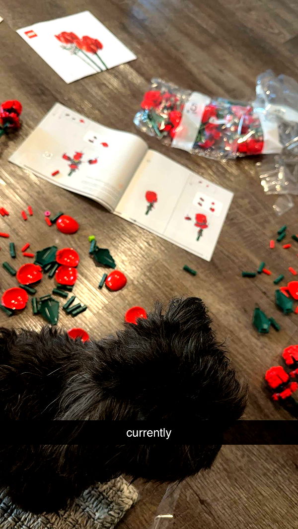 jaynagirl image ~ Altpins