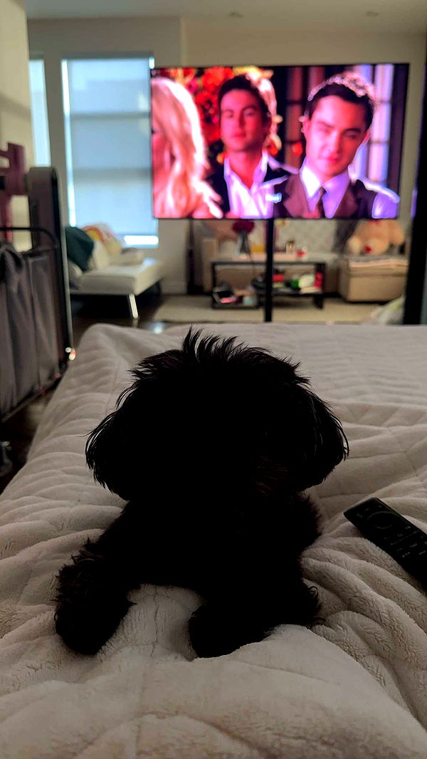 jaynagirl image ~ Altpins