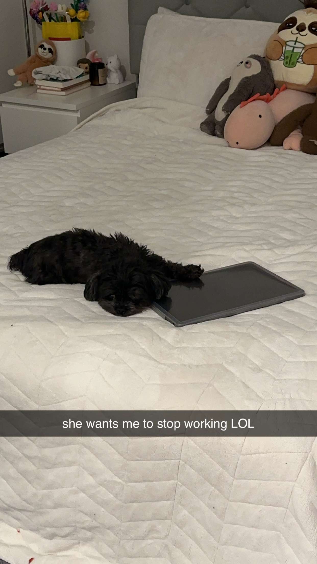 jaynagirl snapchat image archive image