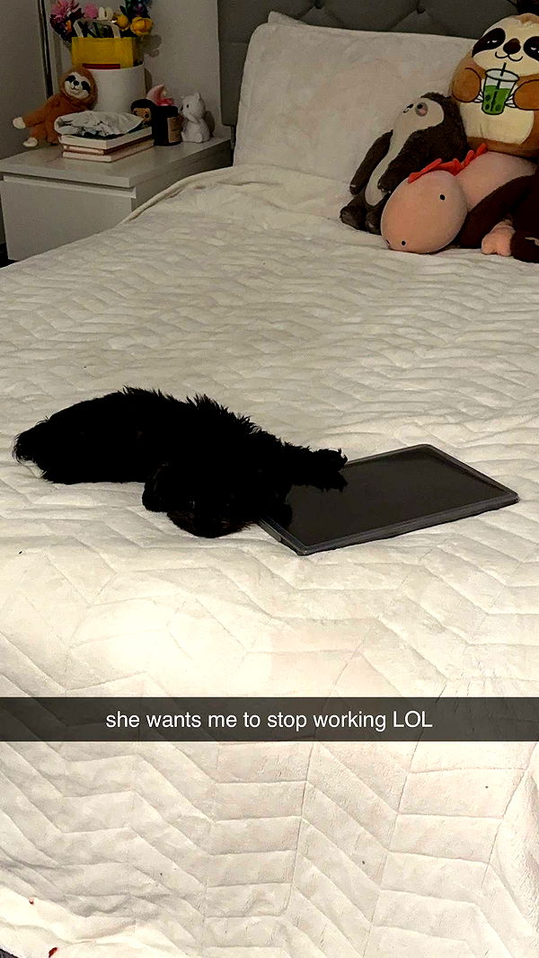 jaynagirl image ~ Altpins