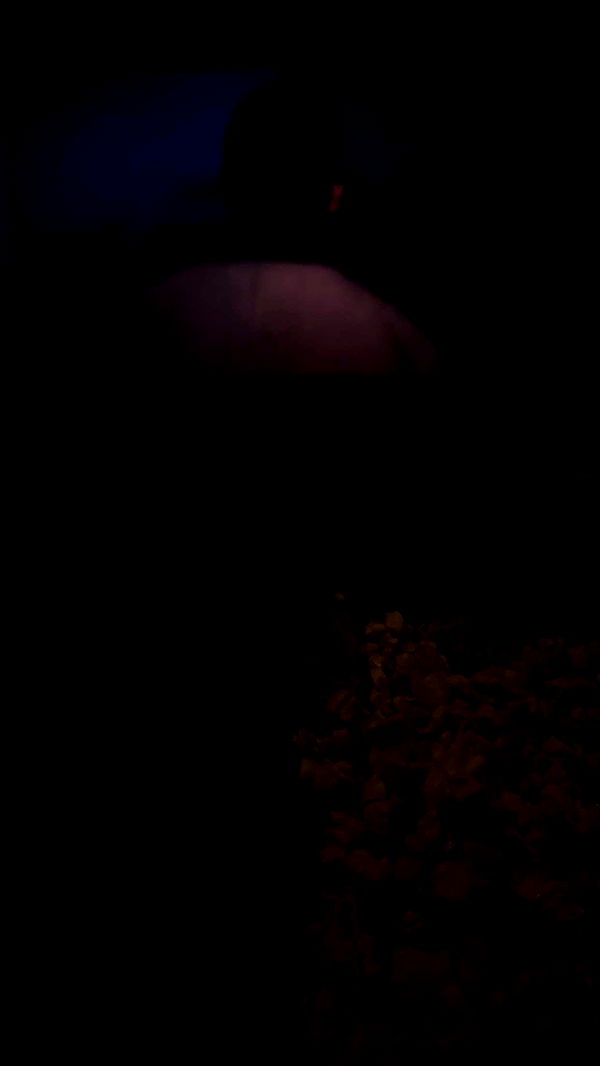 jaynagirl image ~ Altpins