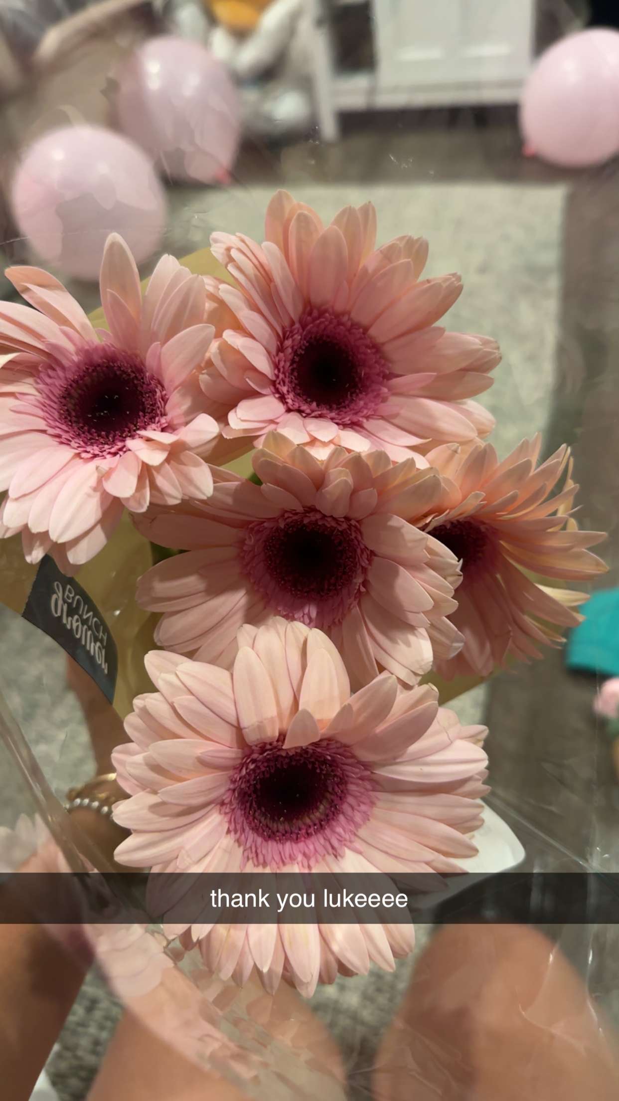 jaynagirl snapchat image archive image