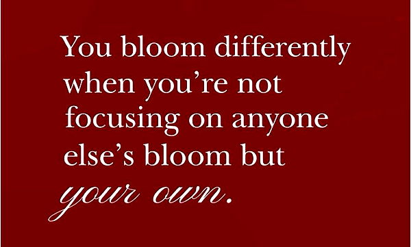 jaynagirl image ~ Altpins