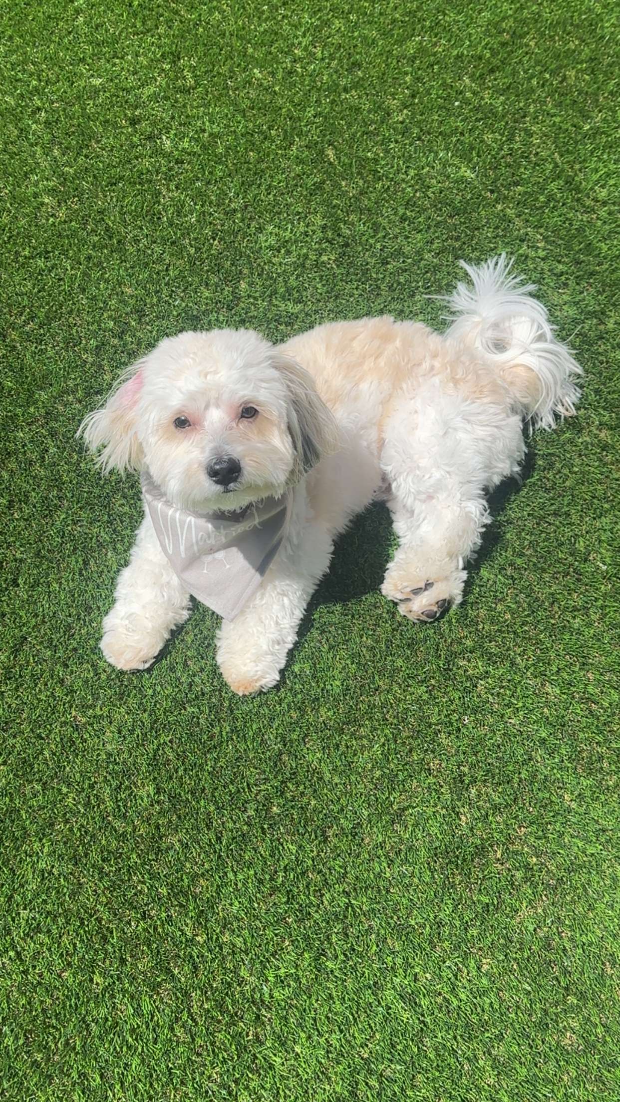 jaynagirl snapchat image archive image