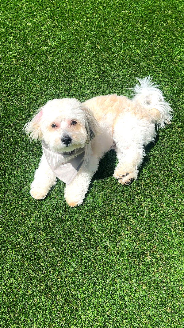 jaynagirl image ~ Altpins