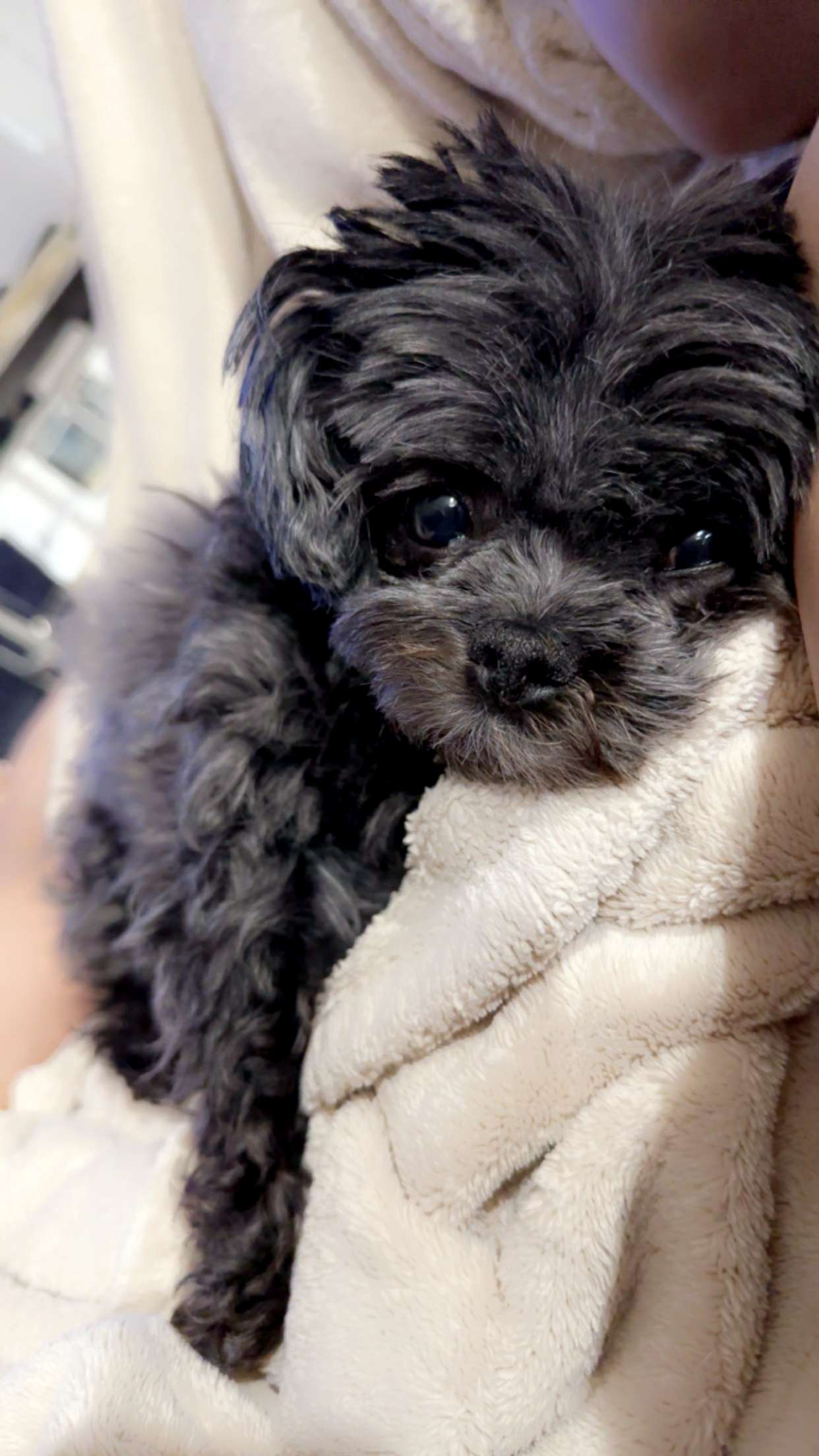 jaynagirl snapchat image archive image