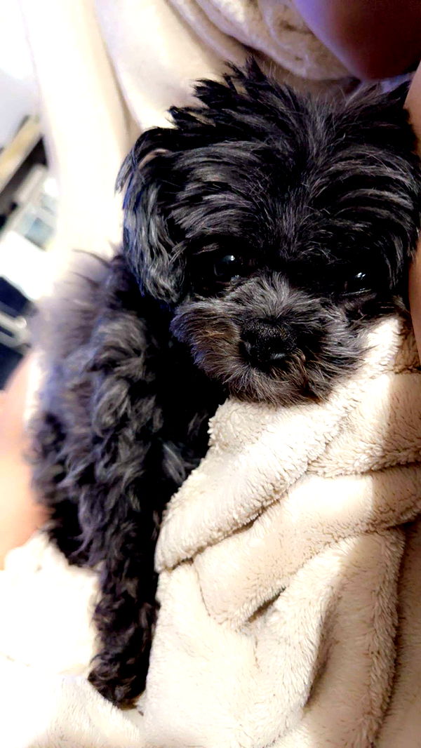 jaynagirl image ~ Altpins