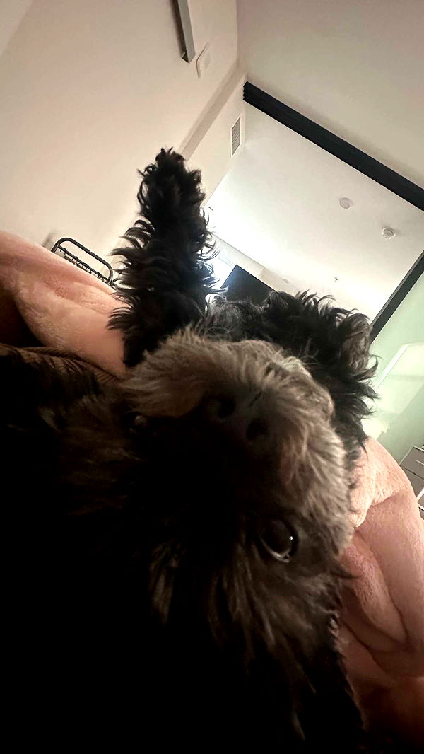 jaynagirl image ~ Altpins