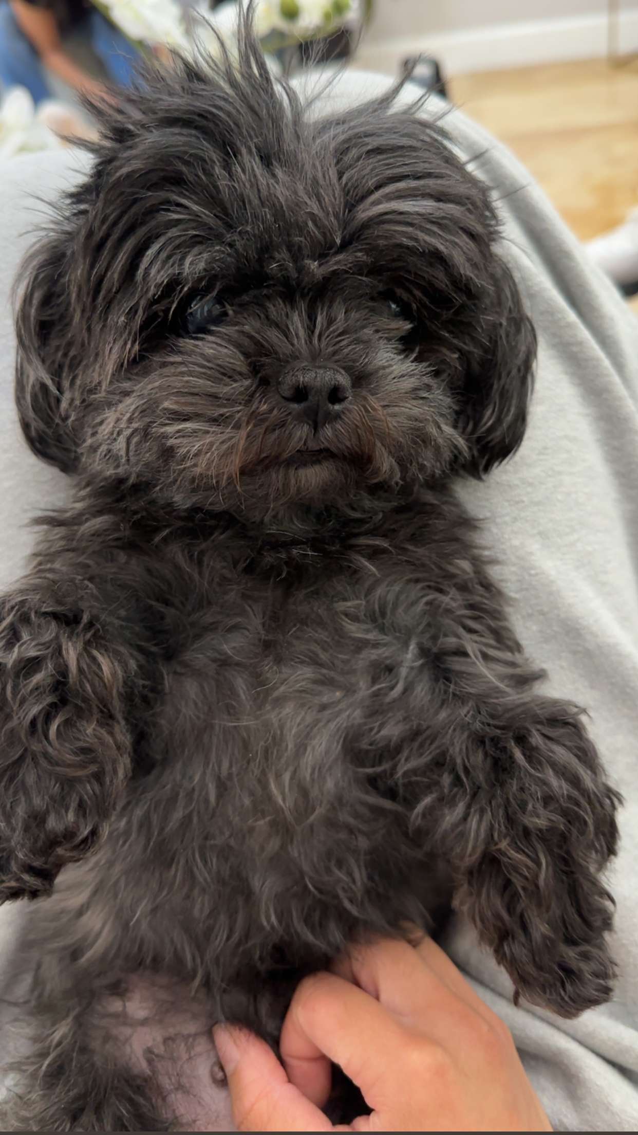 jaynagirl snapchat image archive image