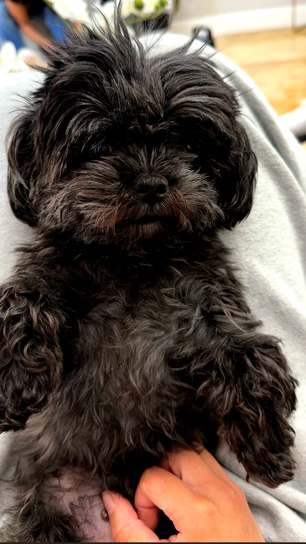 jaynagirl image ~ Altpins