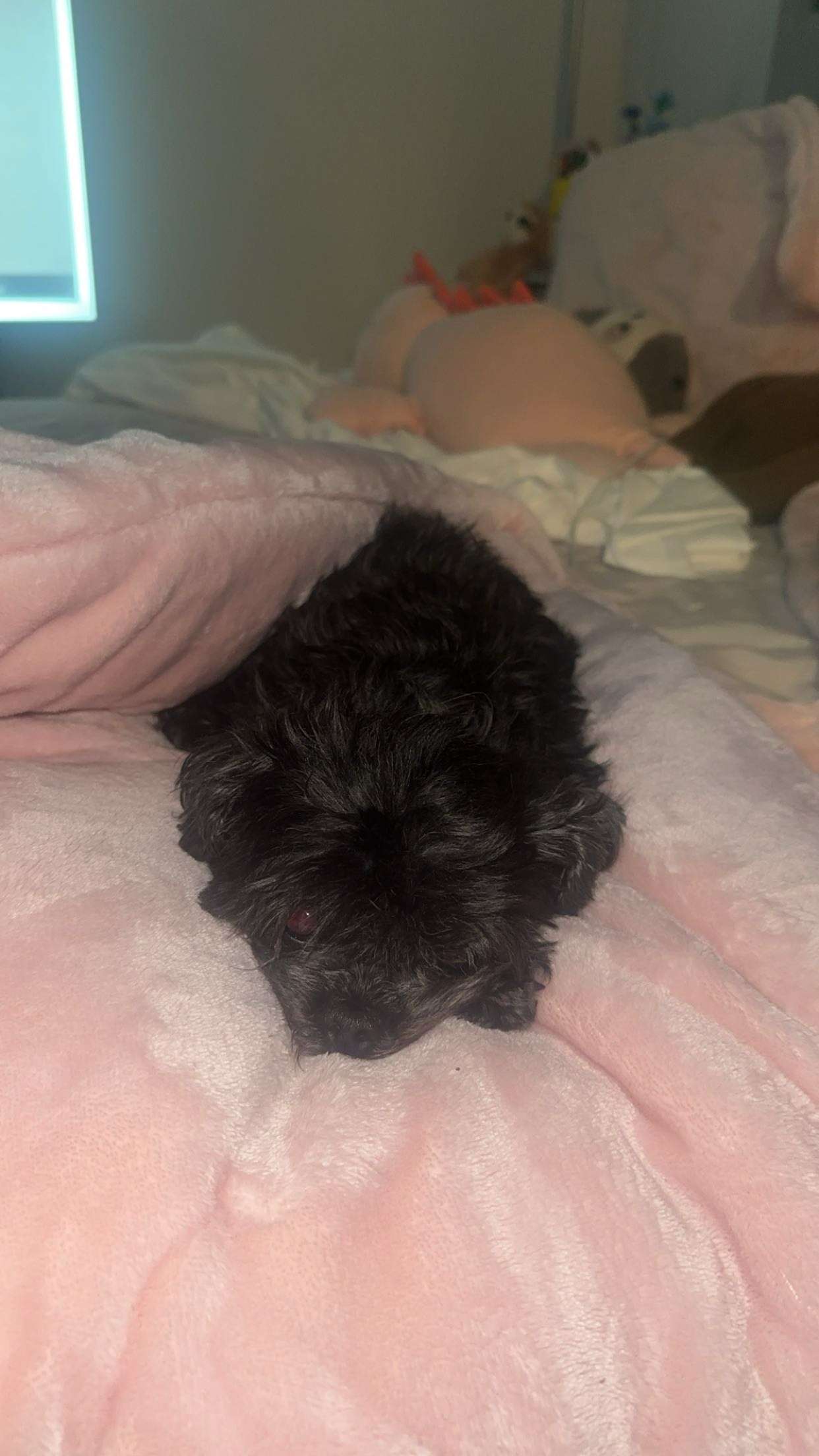 jaynagirl snapchat image archive image