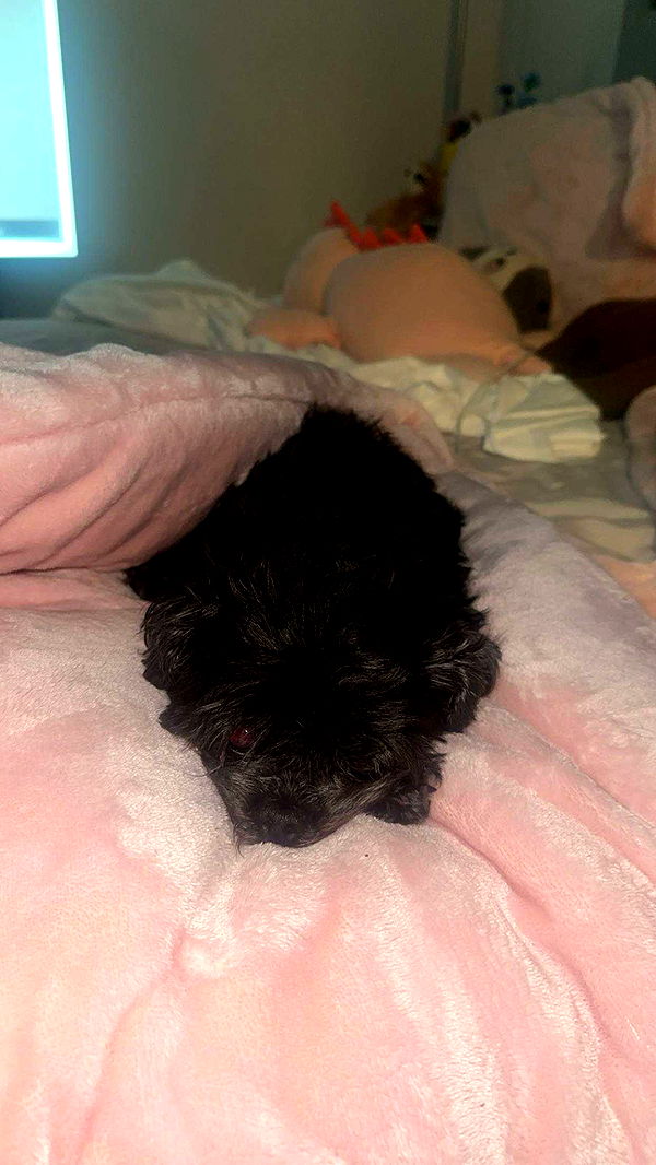 jaynagirl image ~ Altpins