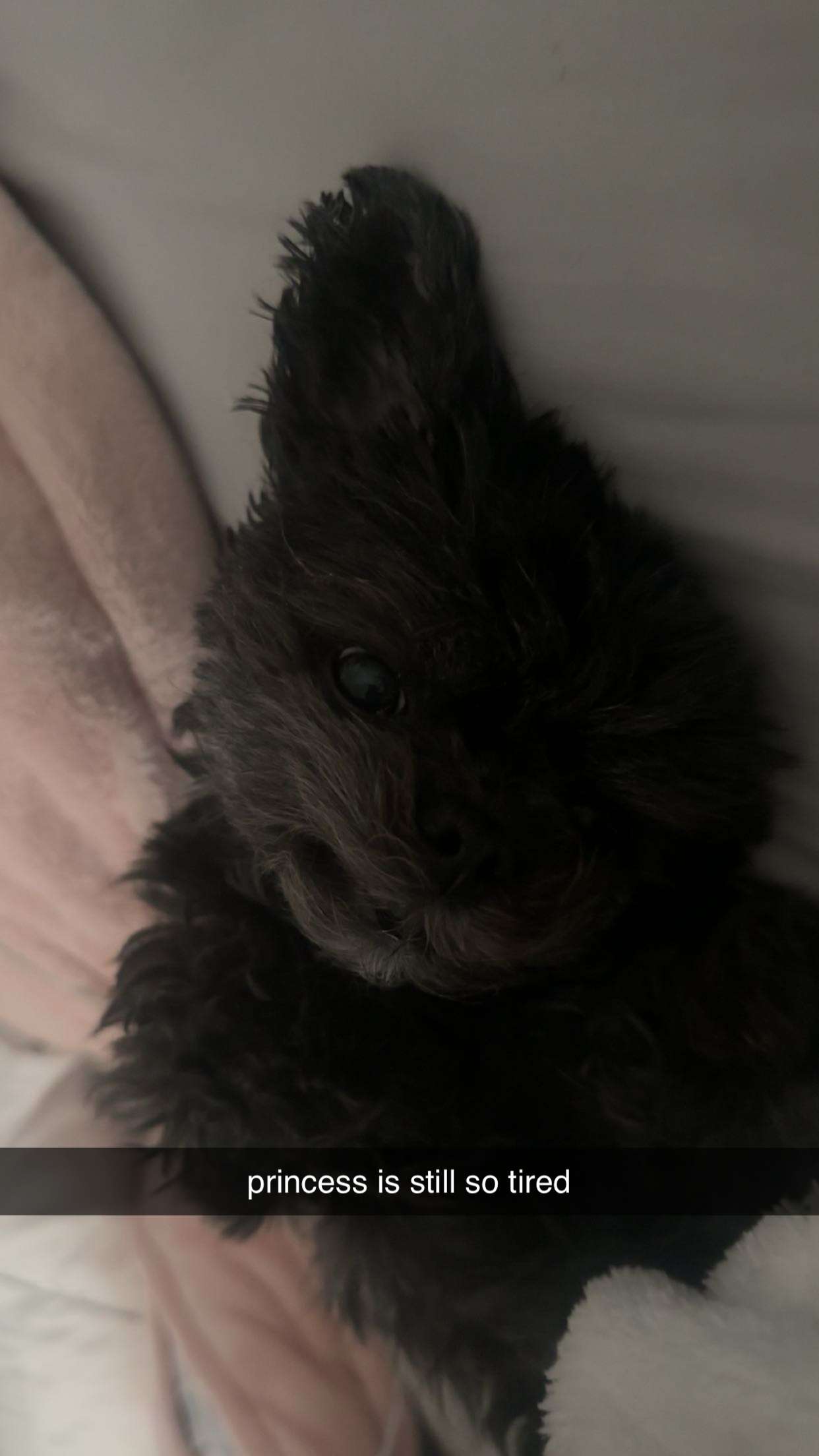 jaynagirl snapchat image archive image