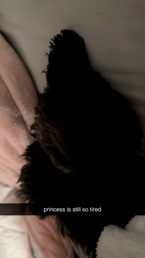 jaynagirl image ~ Altpins