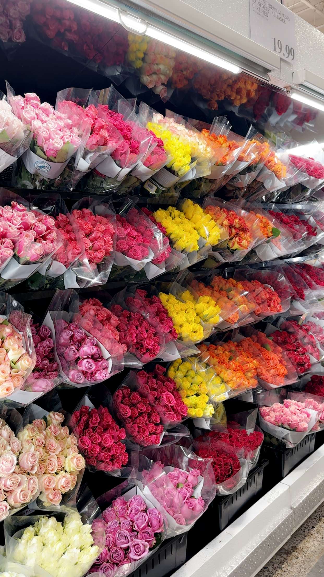 jaynagirl snapchat image archive image