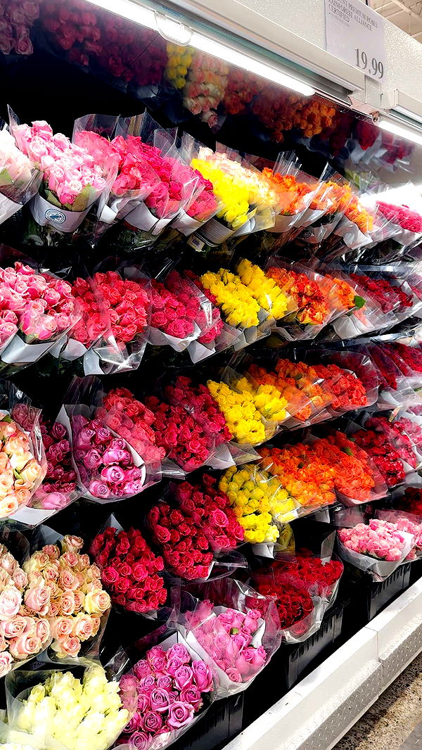 jaynagirl image ~ Altpins